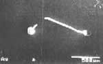 Photo: Silver plating 3&micro;m, with RP system